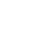 Access Icon