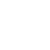 Owner Icon